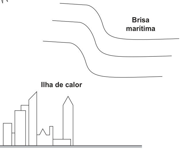 Figura da questão 111 — ENEM 2021