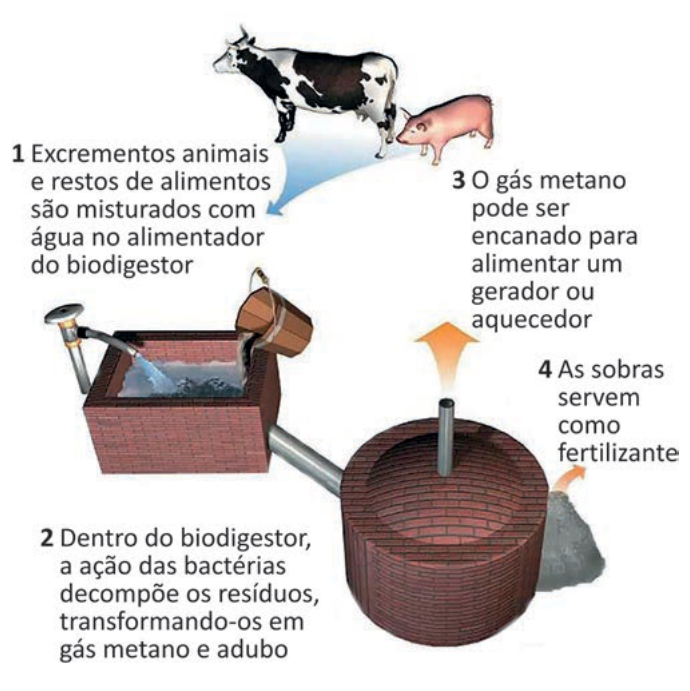 Figura da questão 111 — ENEM 2025